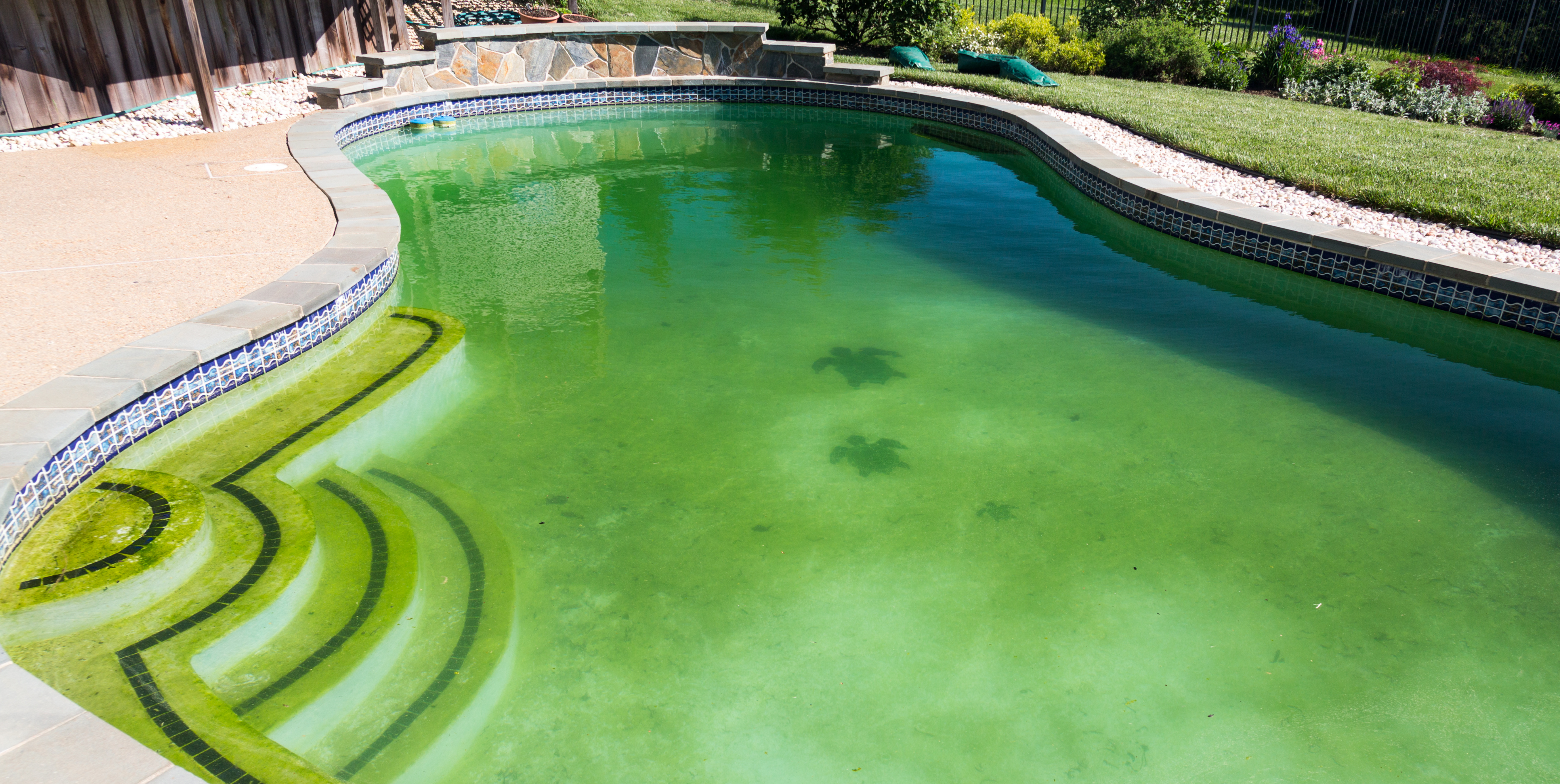 Read more about the article My Pool is Green, Now What? A comprehensive series dedicated to demystifying the care, maintenance, and recovery of a green swimming pool.